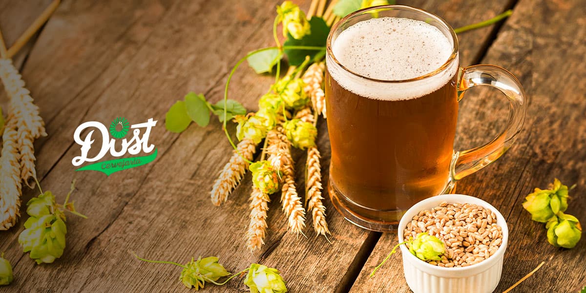 Curiosidades sobre o lúpulo. Conheça mais sobre a famosa planta usada na cerveja 